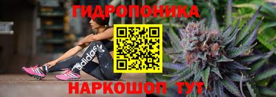гашик Тверь