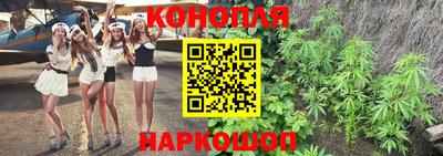 гашик Тверь