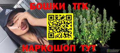 гашик Тверь